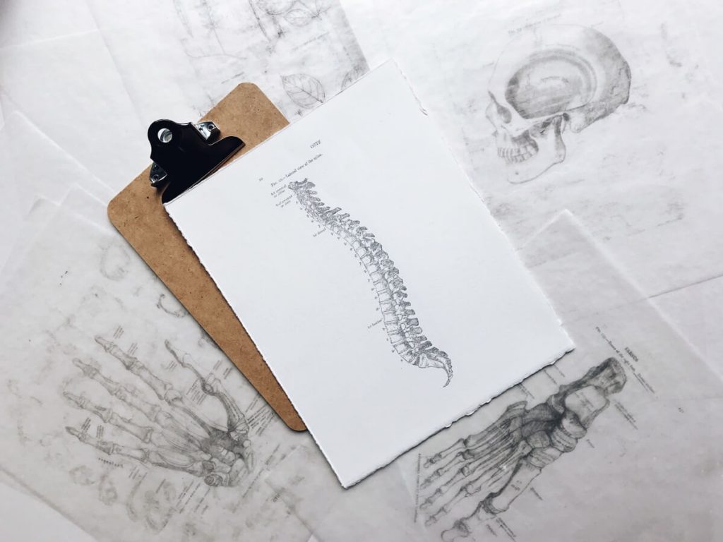 Brisbane Chiropractic Spine Drawing